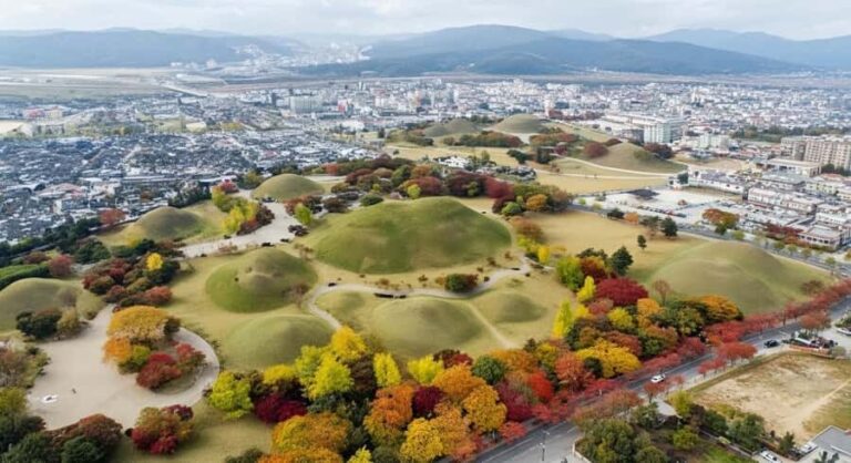 Busan: Gyeongju Full-Day Small-Group Tour with Hotel Pickup - Cheomseongdae Observatory