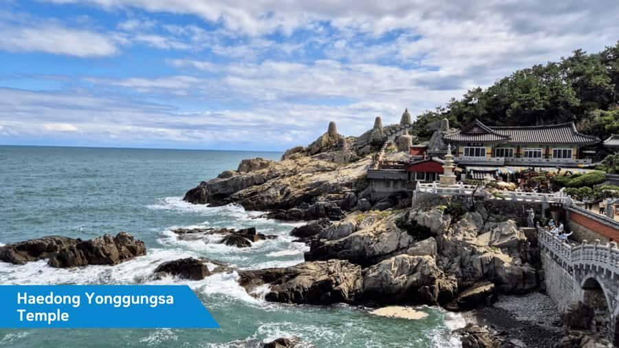 Busan: Haedong Yonggungsa Temple &Fishing Village Tour - Who Is This Tour Best For?  