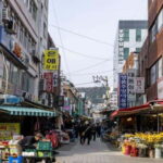 Busan: Jagalchi Market & Gamcheon village Walking Tour - Who’s This Tour Best For?
