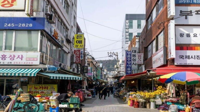 Busan: Jagalchi Market & Gamcheon village Walking Tour - Who’s This Tour Best For?