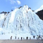 Busan: Kookmin Healing Park & Cheongsong Private Taxi Tour - The Transport and Comfort