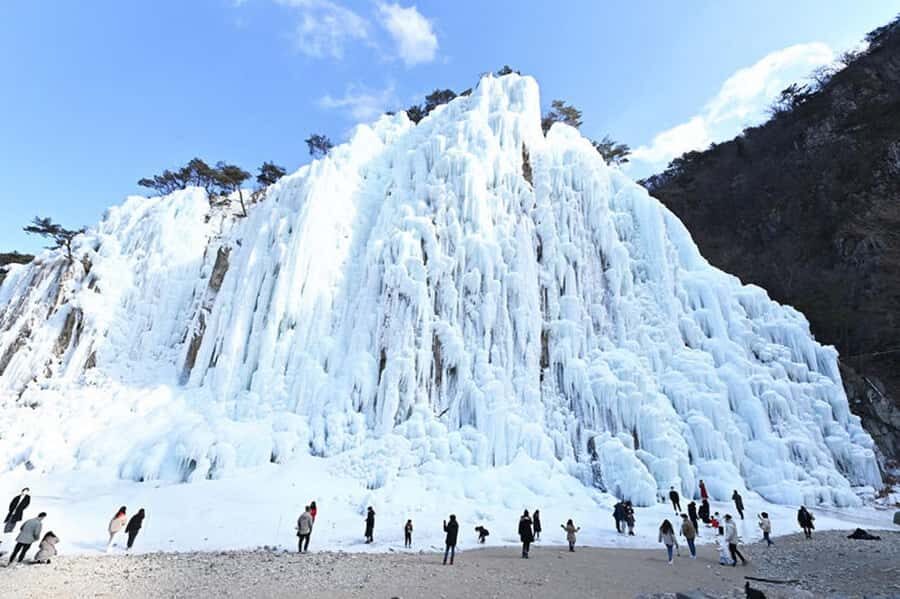 Busan: Kookmin Healing Park & Cheongsong Private Taxi Tour - The Transport and Comfort