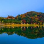 Busan: Miryang Day Tour with Apple Makgeolli Experience - Practical Details and What to Expect