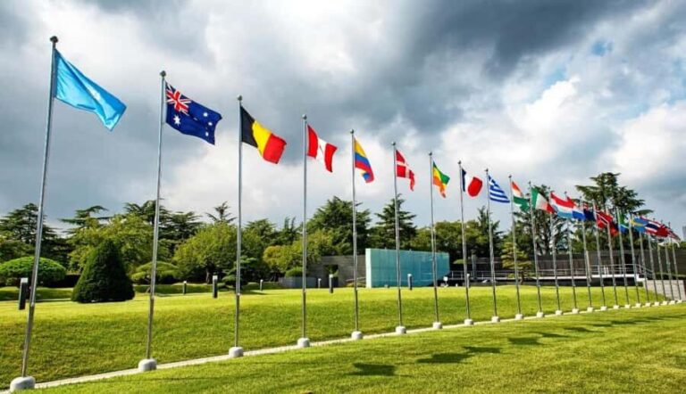 Busan Private Cultural&Coastal Tour with Sunset Yacht Cruise - The Practicals: What You Need to Know