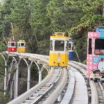 Busan private tour in English or Mandarin - Final Thoughts: Who Will Love This Tour?