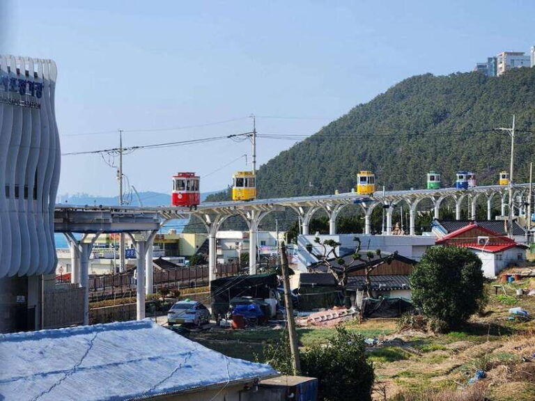 Busan private tour with an official tour guide - Exploring the Itinerary: A Deep Dive