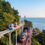 Busan: Small Group with Hotel Pickup Sky Capsule Local Guide - The Itinerary: A Well-Structured Day