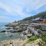 Busan Tour with Gamcheon Village & haedong yonggungsa temple - The Practicalities: What You’re Getting