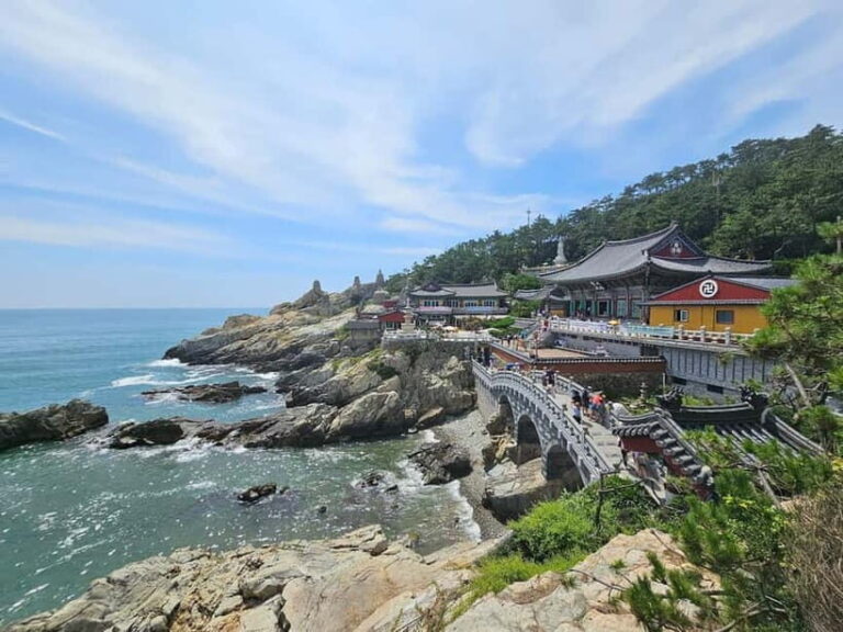 Busan Tour with Gamcheon Village & haedong yonggungsa temple - The Practicalities: What You’re Getting