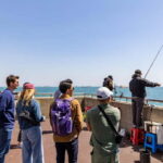 Busan Walking with me for Local Culture & Hidden Gems - Who Should Consider This Tour