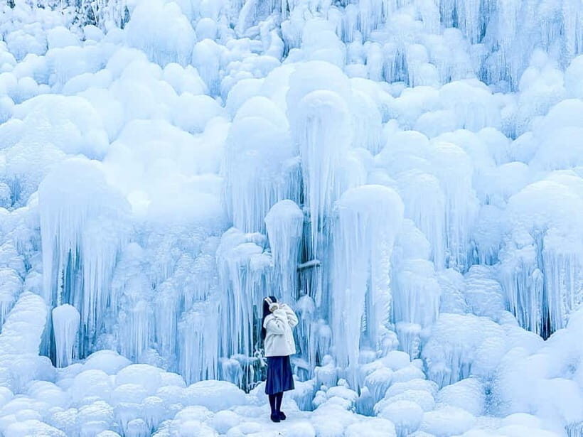 Busan: Winter Healing Park and (Gyeongju/Daegu) One Day Tour - The Journey Begins: Transportation and Meeting Points