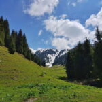 "Butakovka Waterfall" - a half day tour - Exploring the Butakovka Waterfall Tour in Detail