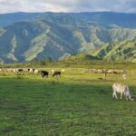 Cagayan de Oro: Sunrise Mountain Trek (BUKIDNON) - Transport, Timing, and Group Dynamics