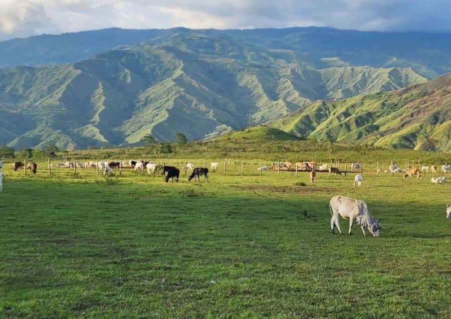 Cagayan de Oro: Sunrise Mountain Trek (BUKIDNON) - Transport, Timing, and Group Dynamics  