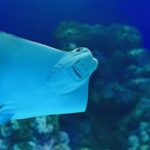 Cairns: Aquarium and Tomb of the Pharaohs Entry Ticket - Exploring the Tomb of the Pharaohs: An Egyptian Adventure