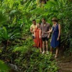 Cairns City: Cairns Koala & Creatures + City Sights Tour - Practicalities and What to Know