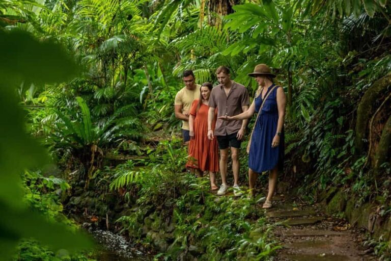 Cairns City: Cairns Koala & Creatures + City Sights Tour - Practicalities and What to Know