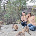 Cairns: Mareeba Wildlife and Coffee Tour - Practical Details and Tips