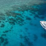 Cairns: Premium Snorkelling and Diving Reef Day Trip - What Makes This Tour Stand Out