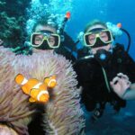 Cairns: Pro Dive Great Barrier Reef 3 Day/2 Night Dive Trip - The Dive Sites and Itinerary