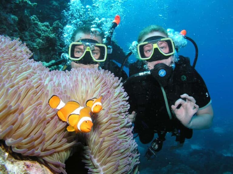 Cairns: Pro Dive Great Barrier Reef 3 Day/2 Night Dive Trip - The Dive Sites and Itinerary