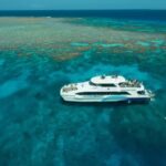Cairns: Silverswift 3 Great Barrier Reef Sites in 1 Day - Water Activities and Marine Life