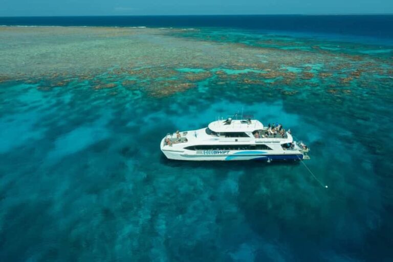 Cairns: Silverswift 3 Great Barrier Reef Sites in 1 Day - Water Activities and Marine Life