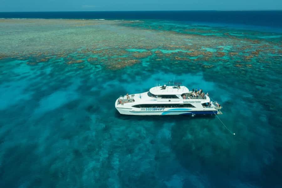 Cairns: Silverswift 3 Great Barrier Reef Sites in 1 Day - Water Activities and Marine Life