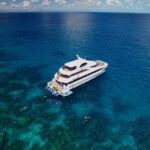 Cairns Super Saver: Reef Cruise, Daintree & Kuranda Rail/Skyrail - FAQ