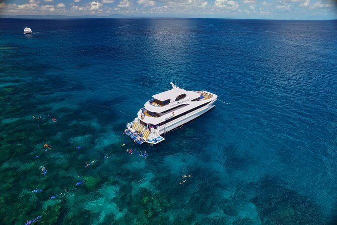 Cairns Super Saver: Reef Cruise, Daintree & Kuranda Rail/Skyrail - FAQ