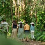 Cairns: Waterfall, Wetlands & Kuranda Scenic Rail All Inclusive - The Value and Overall Impression