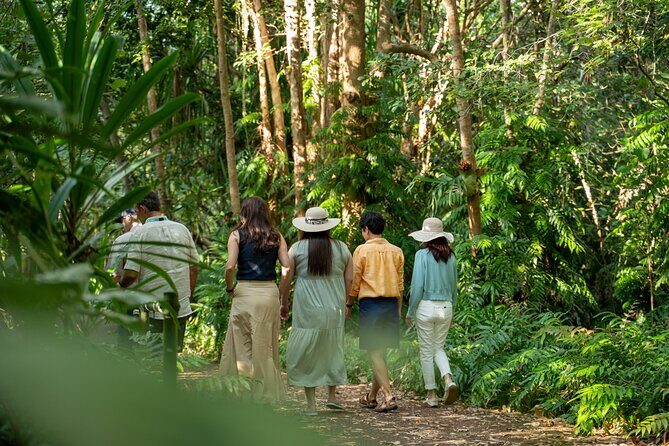 Cairns: Waterfall, Wetlands & Kuranda Scenic Rail All Inclusive - The Value and Overall Impression
