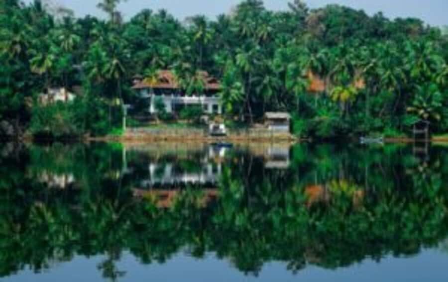 Calicut: Private Guided Heritage Tour with Pickup - Practical Details and Logistics