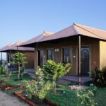 Camel Safari With Night Stay in Camp - Who Will Love This Tour?