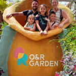 Cameron Highland Private Day Tour From Ipoh - The Experience: What Sets It Apart