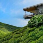 Cameron Highlands Day Tour from Ipoh -Tea Plantation - Why This Tour Works Well