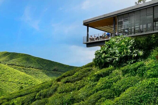 Cameron Highlands Day Tour from Ipoh -Tea Plantation - Why This Tour Works Well