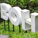 Cameron Highlands Full-Day Tour from Ipoh with Lunch - Who Should Consider This Tour?