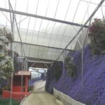 Cameron Highlands Multi Days Tour - Frequently Asked Questions about the Cameron Highlands Multi-Day Tour