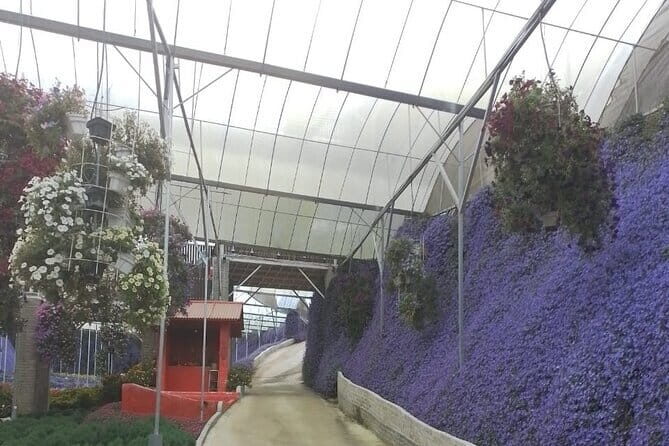 Cameron Highlands Multi Days Tour - Frequently Asked Questions about the Cameron Highlands Multi-Day Tour