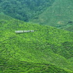 Cameroon Highland : Best nature in highland - The Real Experience: Authenticity and Comfort