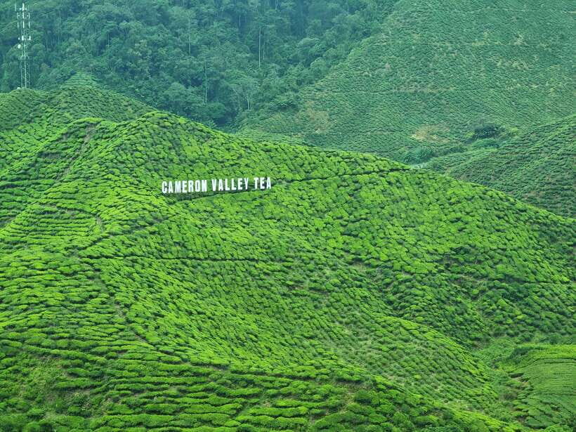 Cameroon Highland : Best nature in highland - The Real Experience: Authenticity and Comfort