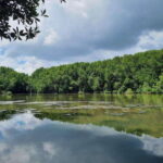 Can Gio Mangrove Forest & Monkey Island In 1 Day - The Complete Experience