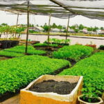 Can Tho Bike Tour in Mekong Delta - What’s Included and Why It Matters