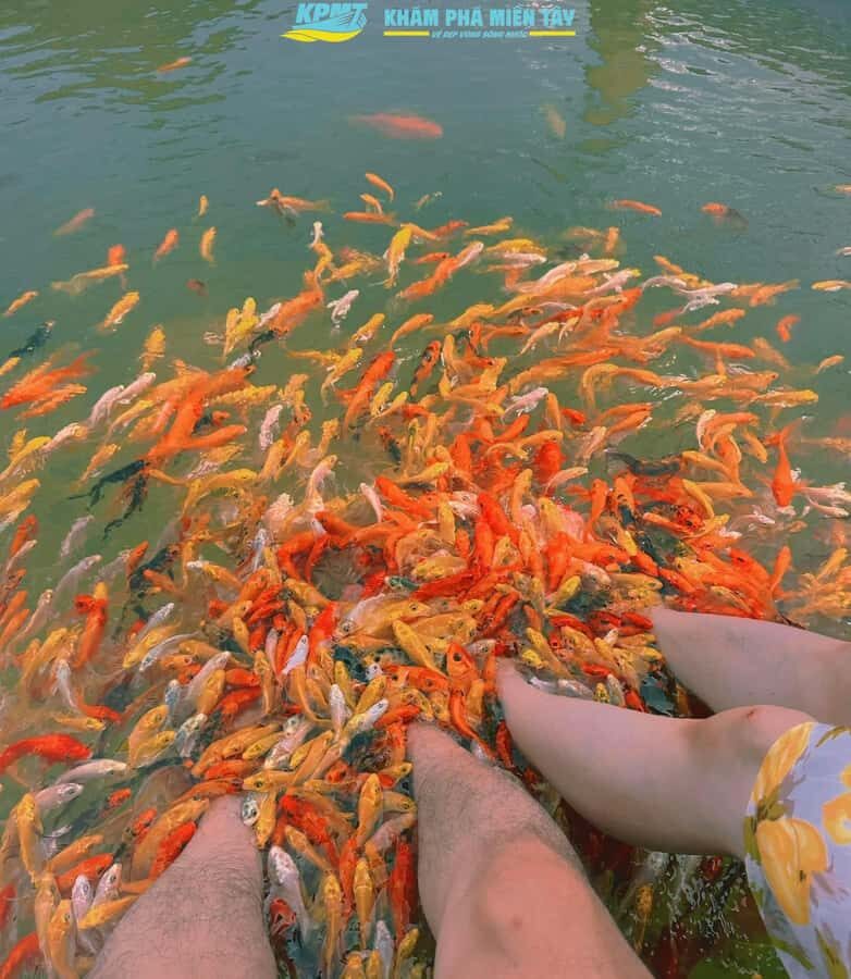 Can Tho: Con Son Islet Tour & Local Cake Making - Exploring the Con Son Islet Tour in Detail