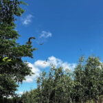 Can Tho: Explore Craft Village & Lung Ngoc Hoang Nature Reserve - What Makes This Tour Stand Out?