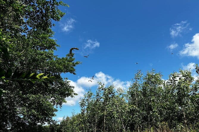 Can Tho: Explore Craft Village & Lung Ngoc Hoang Nature Reserve - What Makes This Tour Stand Out?