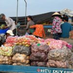 Can Tho: Floating Market, Canals, Nature Reserve & Forest - A Closer Look at the Itinerary