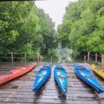 Canoeing Mangrove Experience in Jakarta - The Itinerary: What to Expect