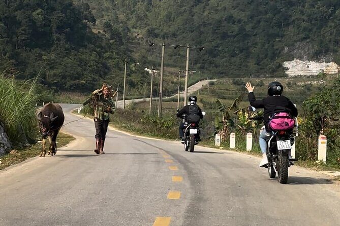 Cao Bang: Ban Gioc Waterfall Full-Day With Local Guide - Transportation and Practical Details